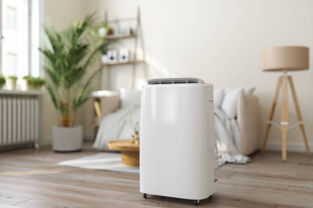 Best HVAC Tune-Up Services  in Rockville, MN